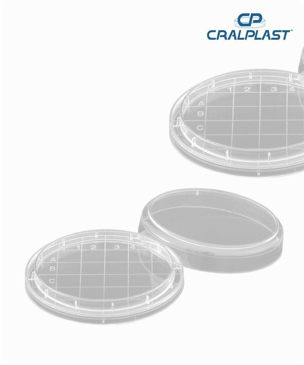 Placa de petri PS rodac estéril